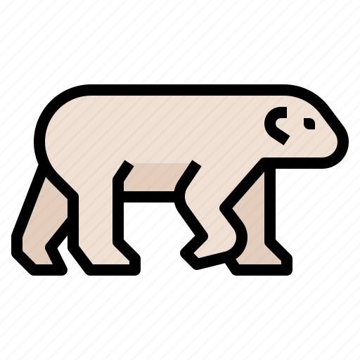 Animal, bear, polar, wildlife, zoo icon - Download on Iconfinder