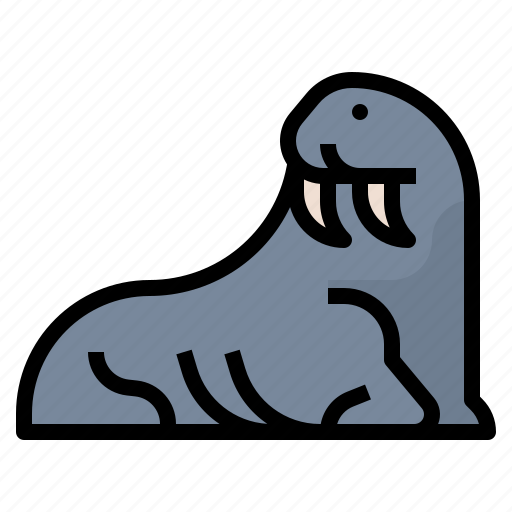 Animal, walrus, wildlife, zoo icon - Download on Iconfinder