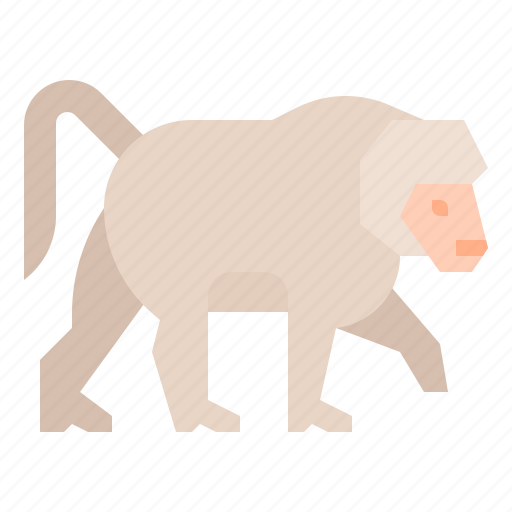 Animal, baboon, wildlife, zoo icon - Download on Iconfinder
