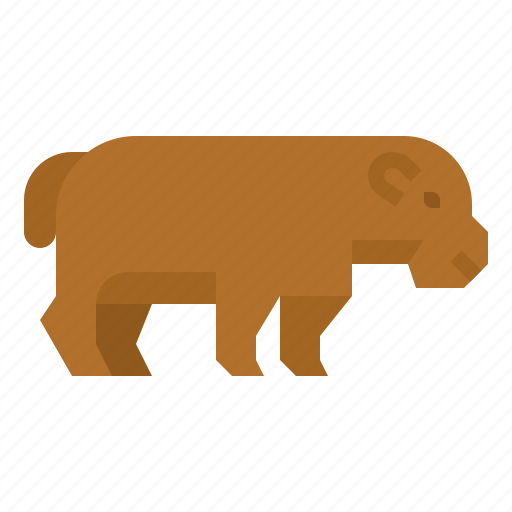 Animal, hippopotamus, wildlife, zoo icon - Download on Iconfinder