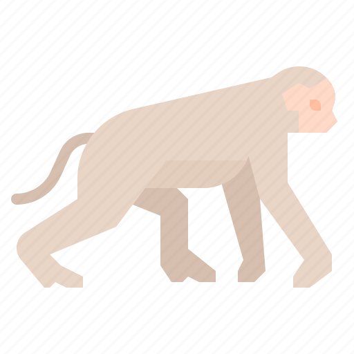 Animal, monkey, wildlife, zoo icon - Download on Iconfinder