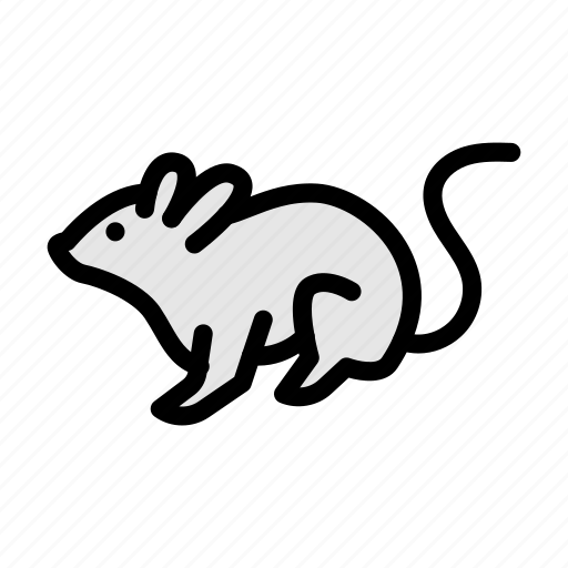Rat, mouse, animal, zoo, wild icon - Download on Iconfinder