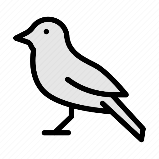 Sparrow, bird, zoo, wild, forest icon - Download on Iconfinder