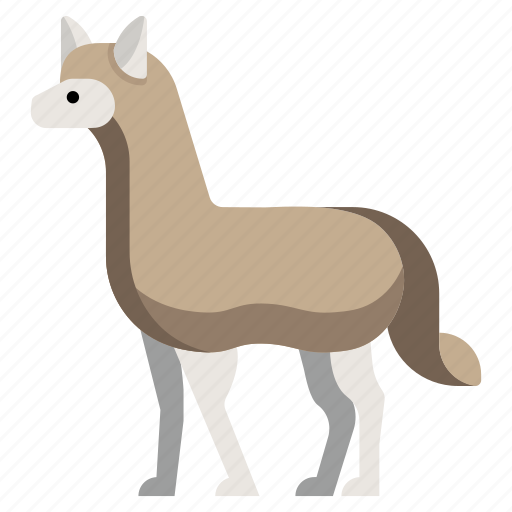 Alpaca, animal, llama, mammal, wildlife, zoo icon - Download on Iconfinder
