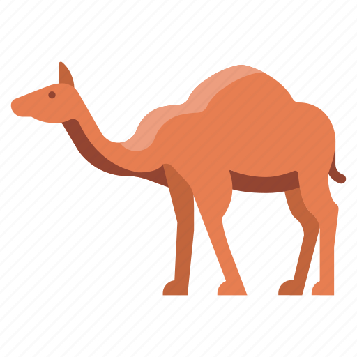 Animal, camel, desert, dromedary, journey, mammal, zoo icon - Download on Iconfinder
