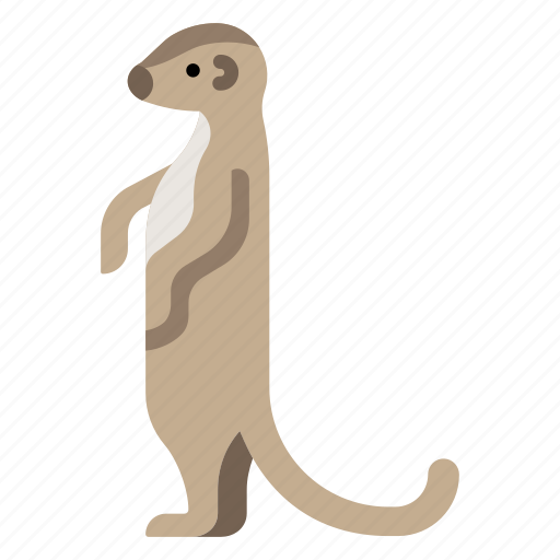 Animal, mammal, meerkat, mongoose, suricate, wildlife, zoo icon - Download on Iconfinder