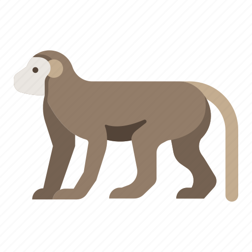 Animal, ape, monkey, primate, wild, wildlife, zoo icon - Download on Iconfinder