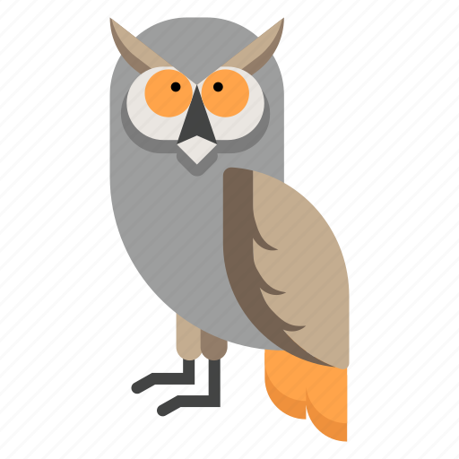 Animal, bird, night, owl, wildlife, wisdom, zoo icon - Download on Iconfinder