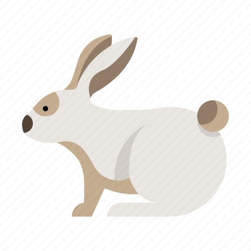 Animal, bunny, domestic, mammal, pet, rabbit, zoo icon - Download on Iconfinder