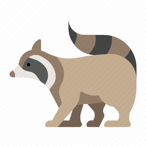 Animal, furry, pet, raccoon, wildlife, zoo icon - Download on Iconfinder