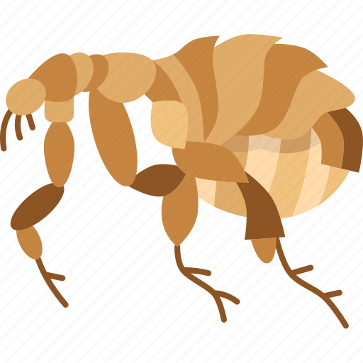 Flea, lice, plague, pest, parasites icon - Download on Iconfinder