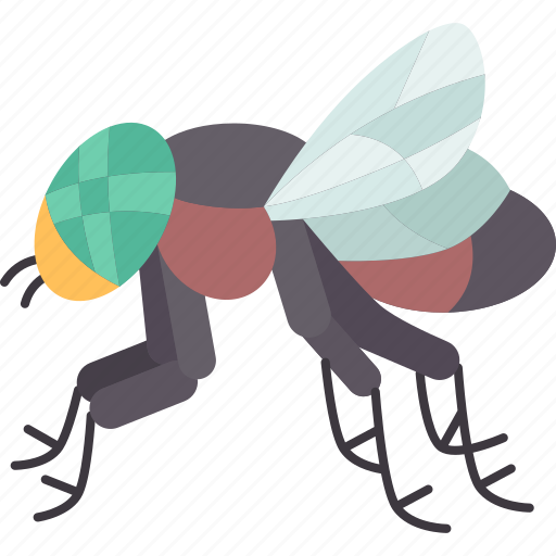 Fly, insect, pest, wing, domestic icon - Download on Iconfinder