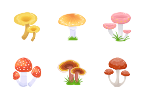 40 Mushroom Illustrations