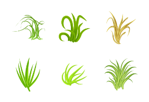 60 Grass Vector Set