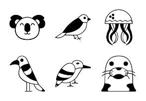 Animal and birds