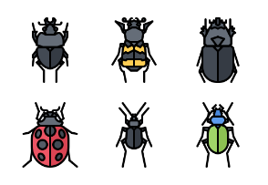 Beetle