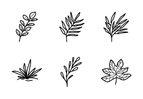 Botanical Hand Drawn- Outline