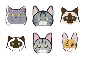 Cat Breeds Collection