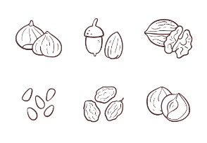 Doodle Seeds & Nuts