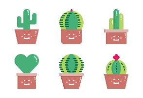 Green cactus nature