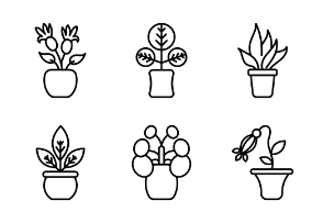 Plants Flowers