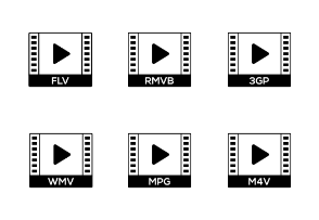 Video Format